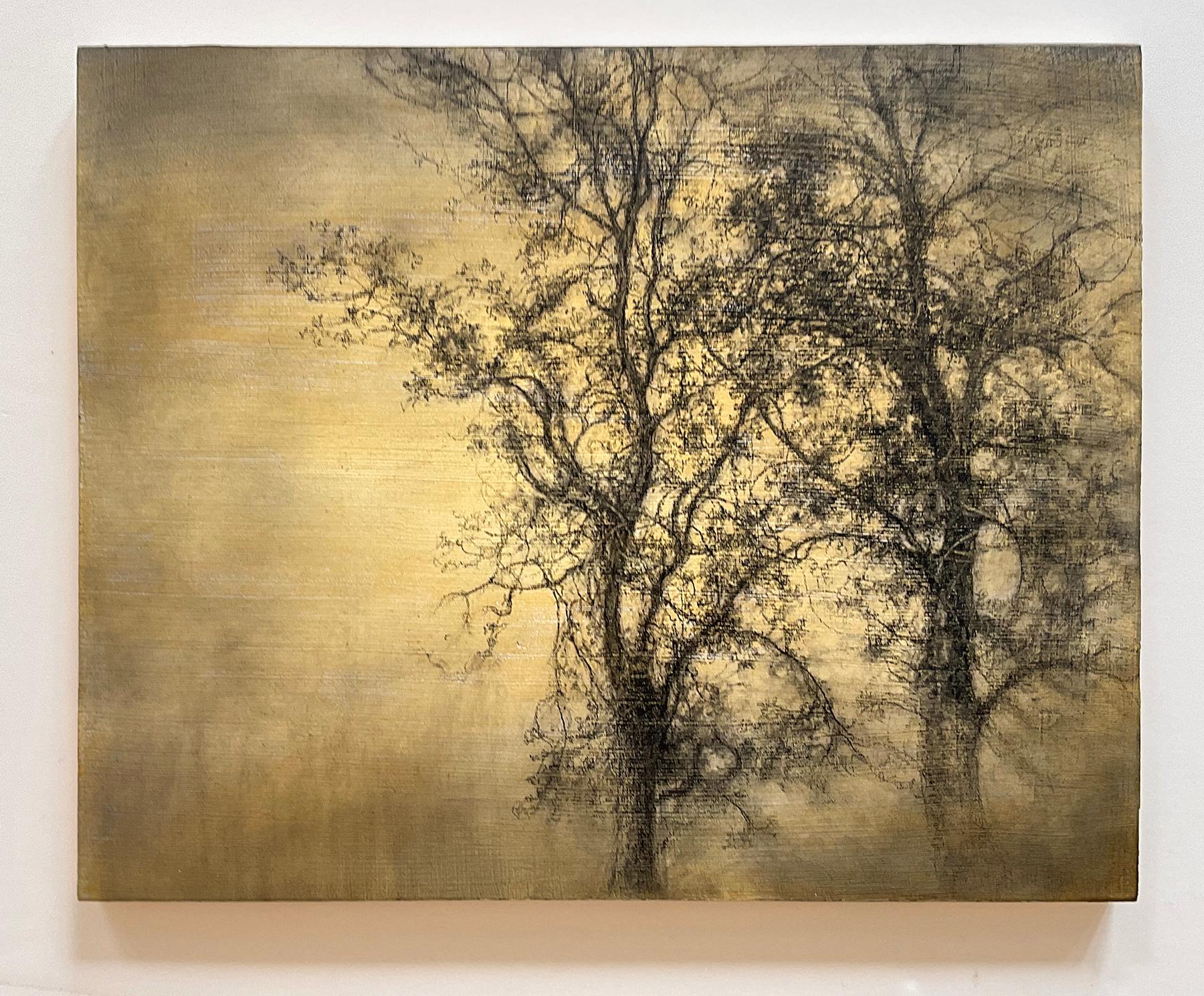 Two Trees: Realistic Charcoal Landscape Drawing of Trees on Pale Yellow - Art by Sue Bryan