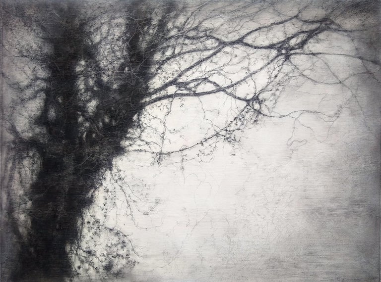 Treesong (Contemporary, Realist Charcoal Landscape Drawing by Sue Bryan)
18 x 24 x 2 inches
Charcoal and acrylic on Primed Arches Paper Mounted on Wood Panel
Excellent condition, Ready to hang as is

This contemporary charcoal landscape drawing on