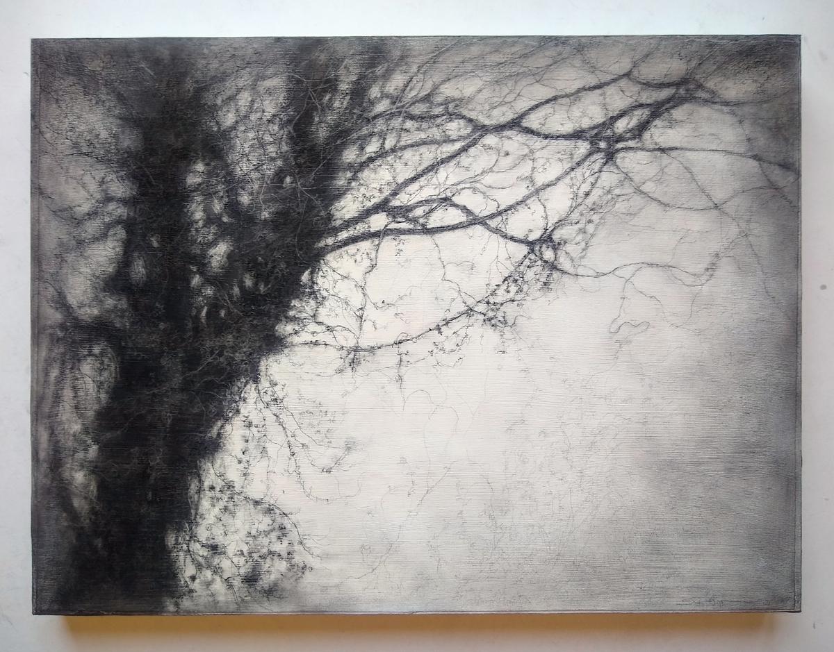 Treesong (dessin de paysage contemporain et réaliste au fusain par Sue Bryan) en vente 1