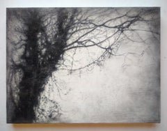 Treesong (Contemporary, Realist Charcoal Landscape Drawing by Sue Bryan)
