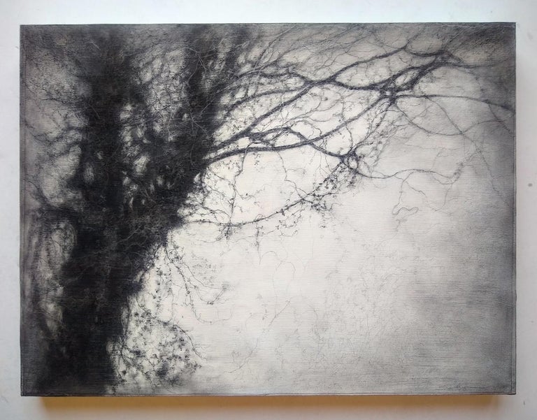 Treesong (Contemporary, Realist Charcoal Landscape Drawing by Sue Bryan) For Sale 1