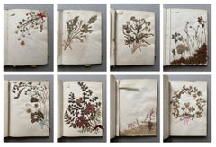 Herbarium, Late 19th Century