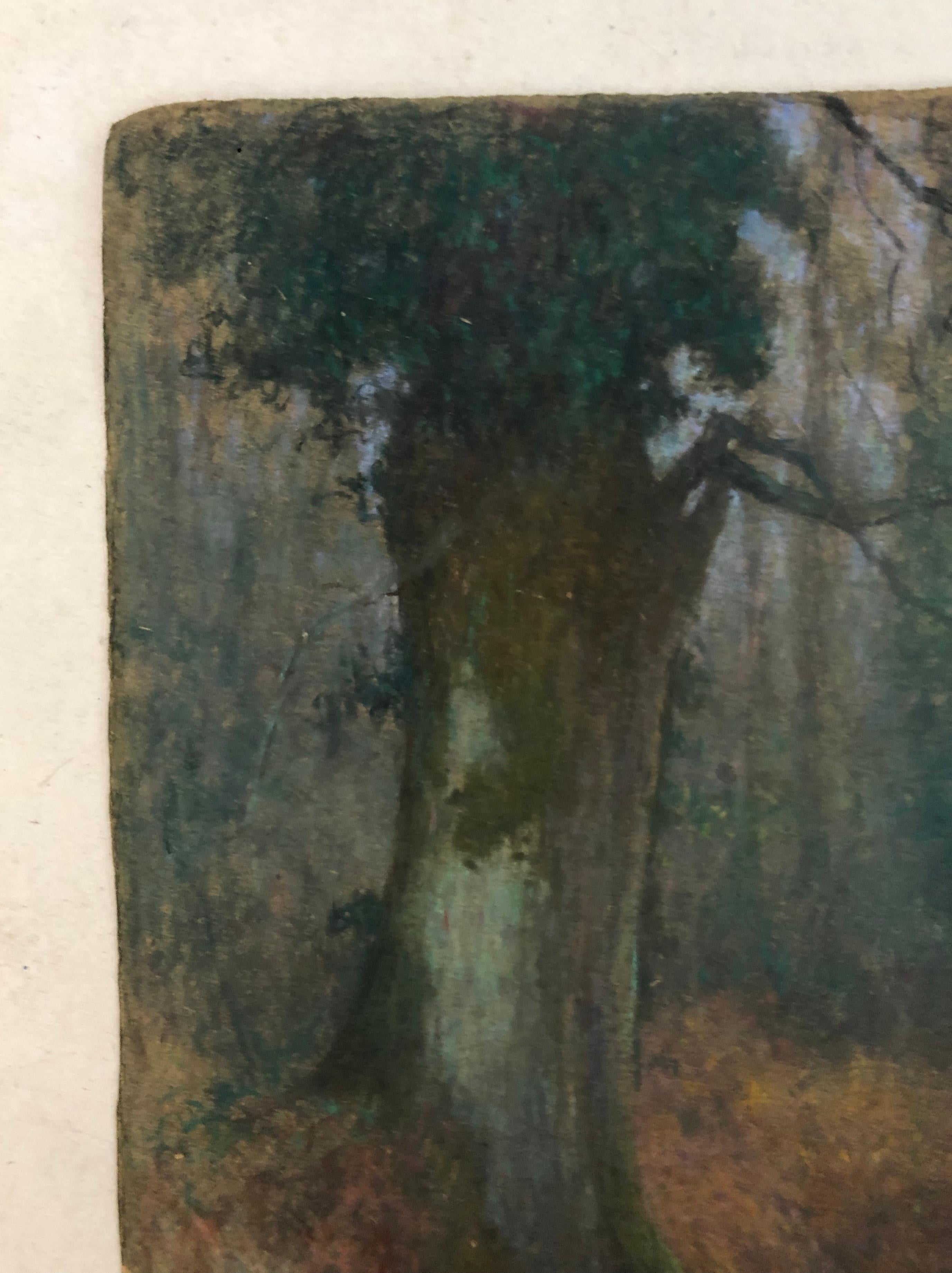 Tree in the undergrowth, Barbizon School, Pastel - Art by Unknown