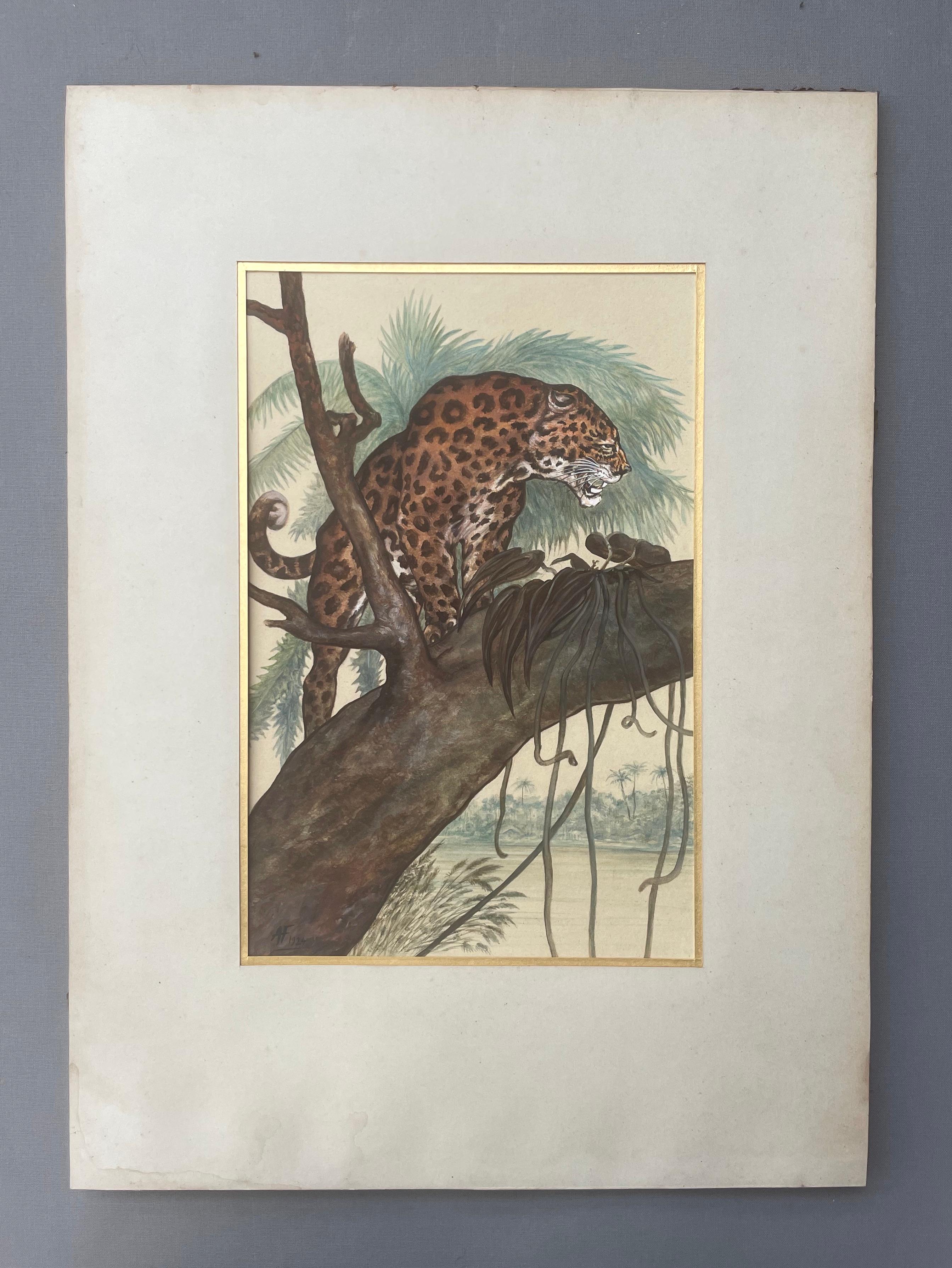 Giaguaro su un ramo, acquerello e guazzo, Monogram Af 1924 - Art di Unknown