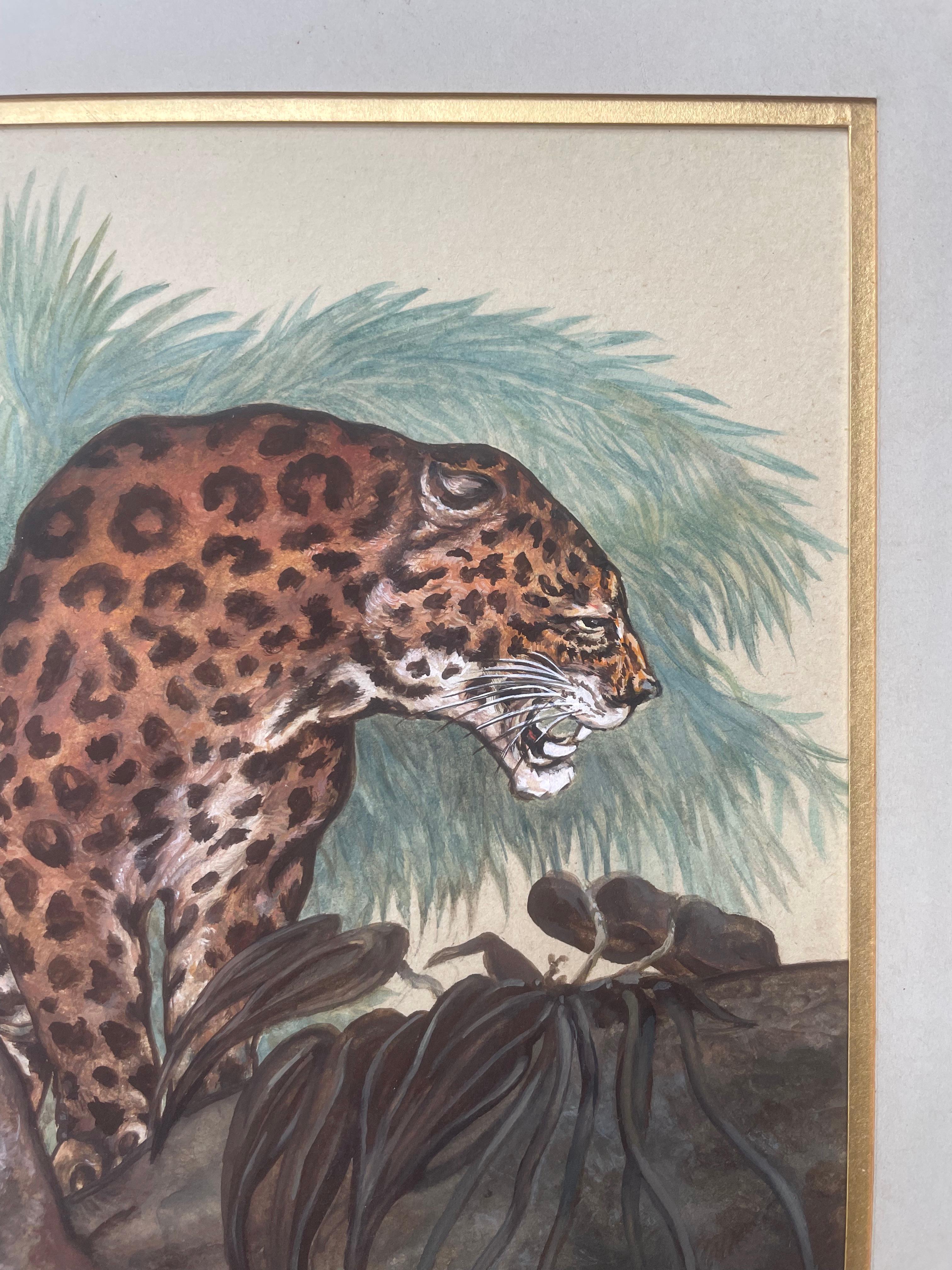 Giaguaro su un ramo, acquerello e guazzo, Monogram Af 1924 - Animal Art Grigio di Unknown