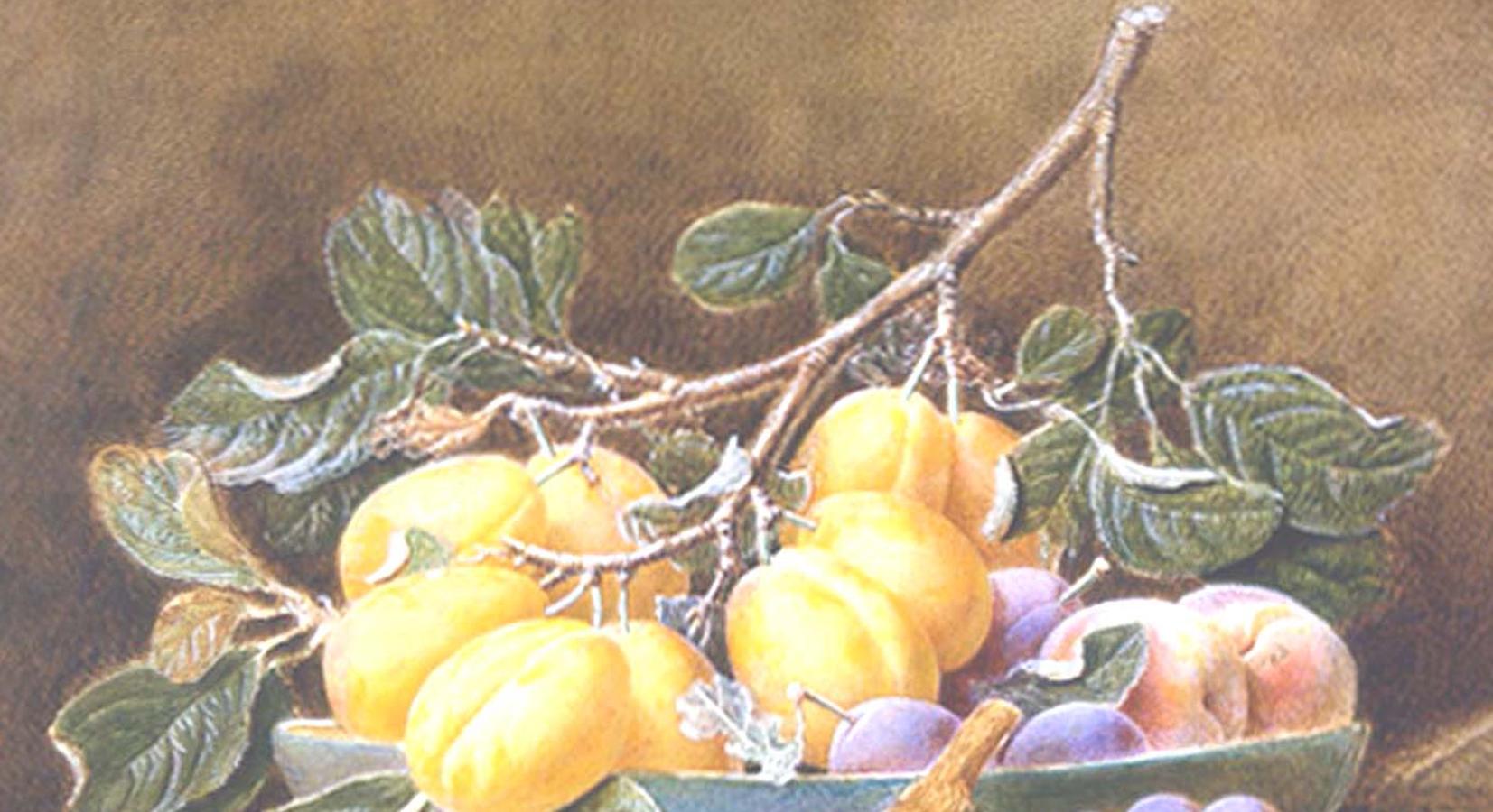 Das steife Leben der Pfirsiche, Pflaumen und Trauben  (Braun), Still-Life, von William Hough