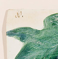 Flox de Pascua-Magnolia (arbres et plantes tropicaux)