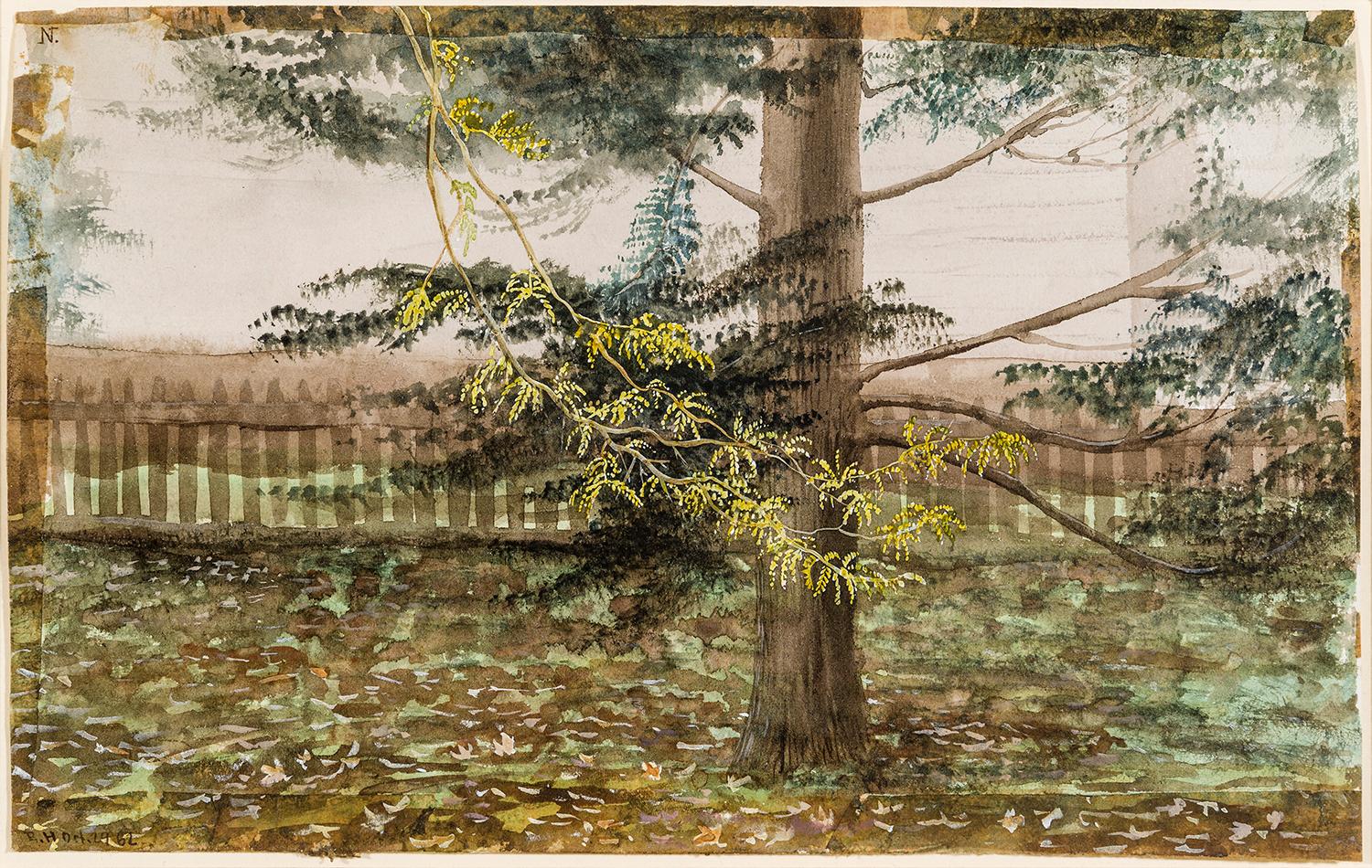 Landscape Art Charles De Wolf Brownell - Tree and Fence, East Hartford, Connecticut ( Paysage de la Nouvelle-Angleterre)