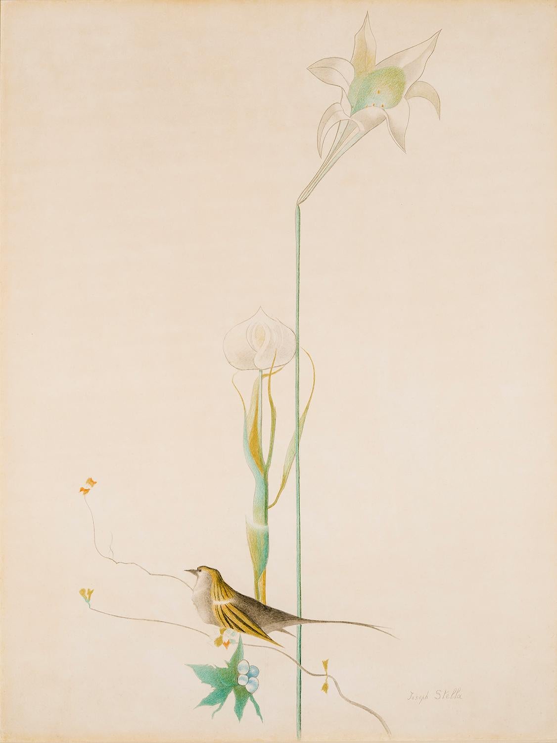 Animal Art Joseph Stella - Libellule et oiseau