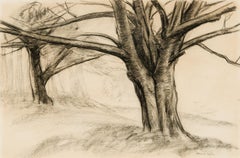 Due grandi alberi