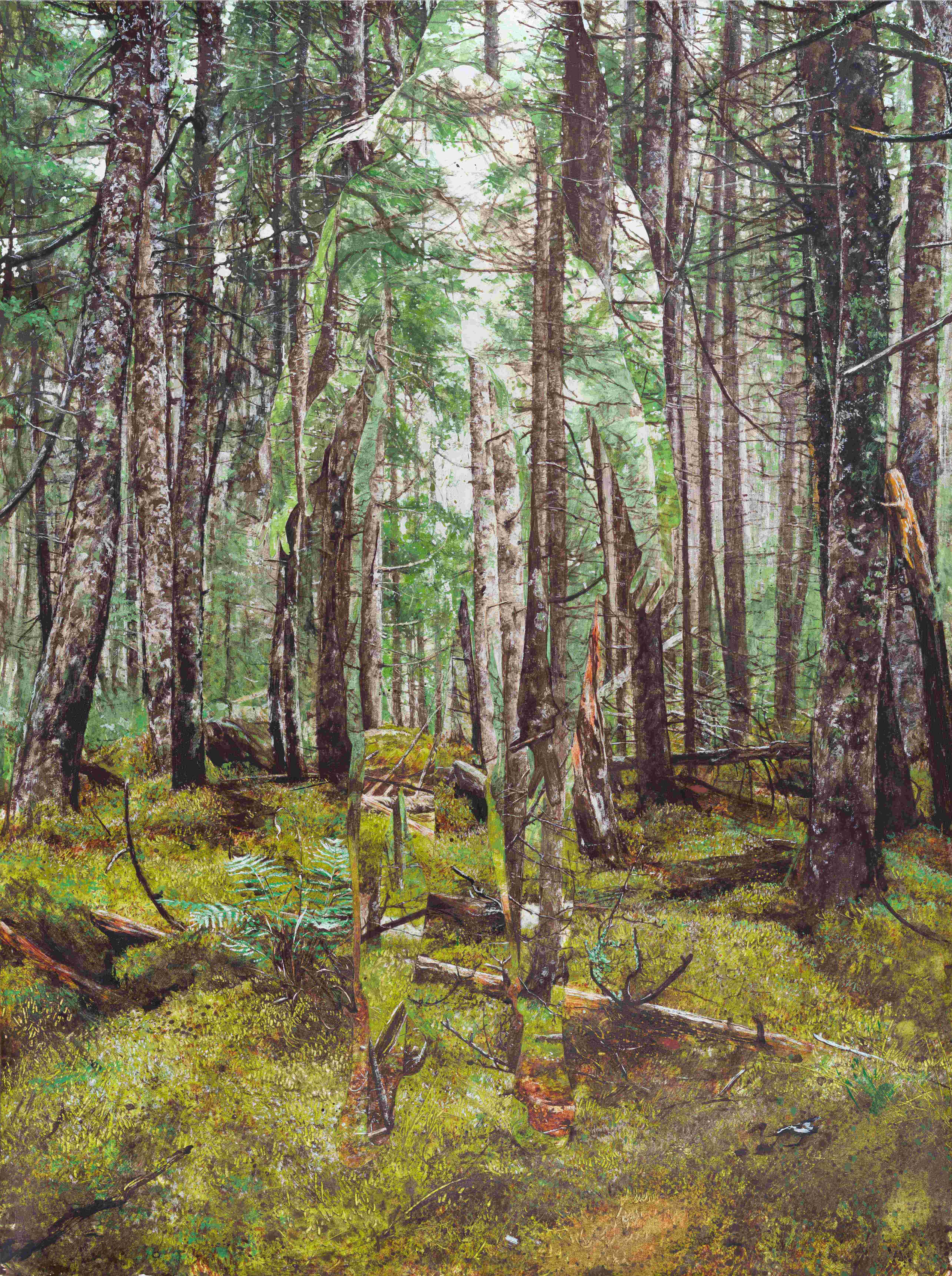 Colin Hunt Landscape Art - Untitled (Moss)