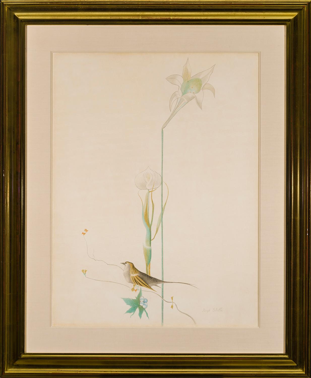 Lily and Bird - Art by Joseph Stella