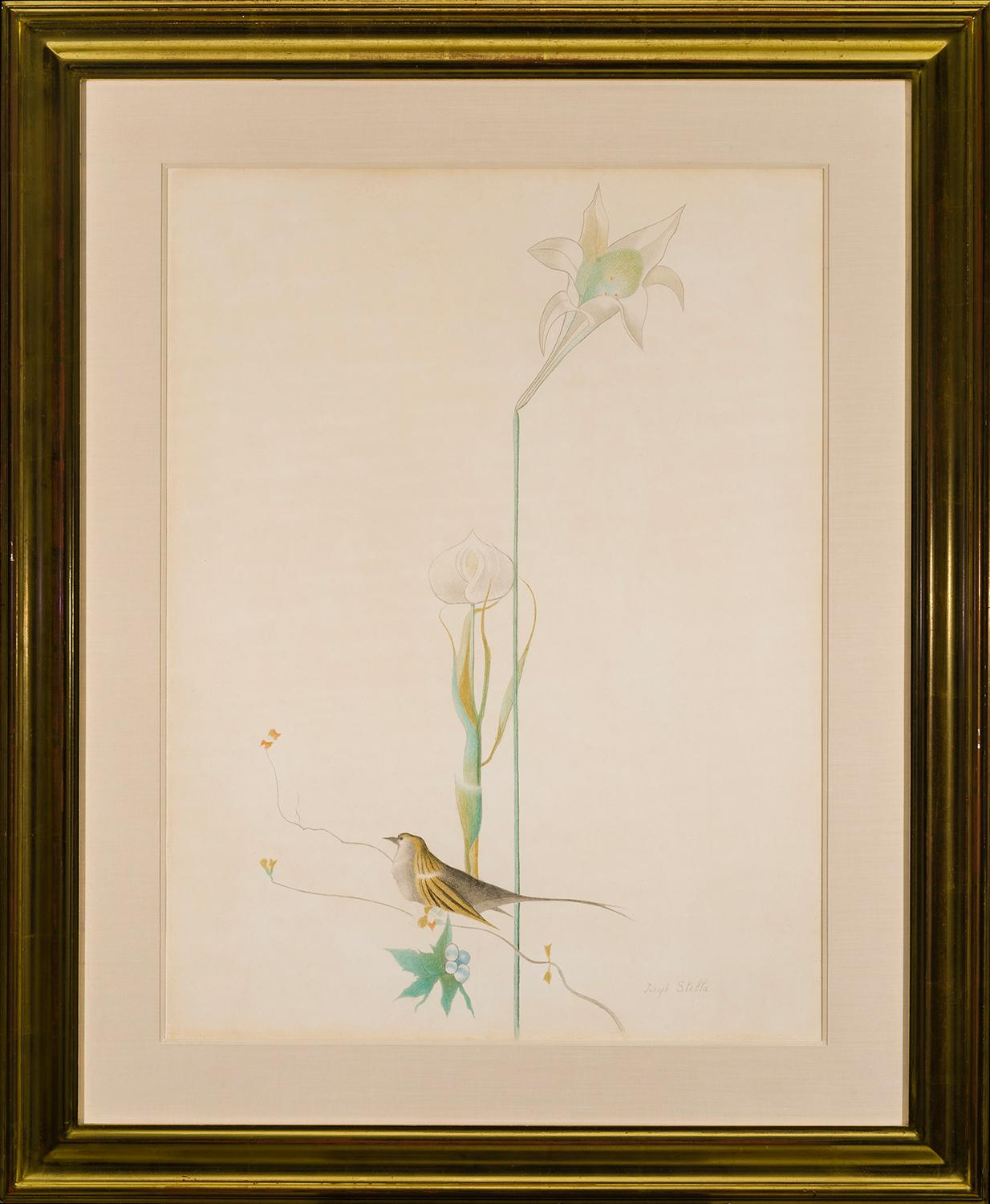 Lilie und Vogel – Art von Joseph Stella