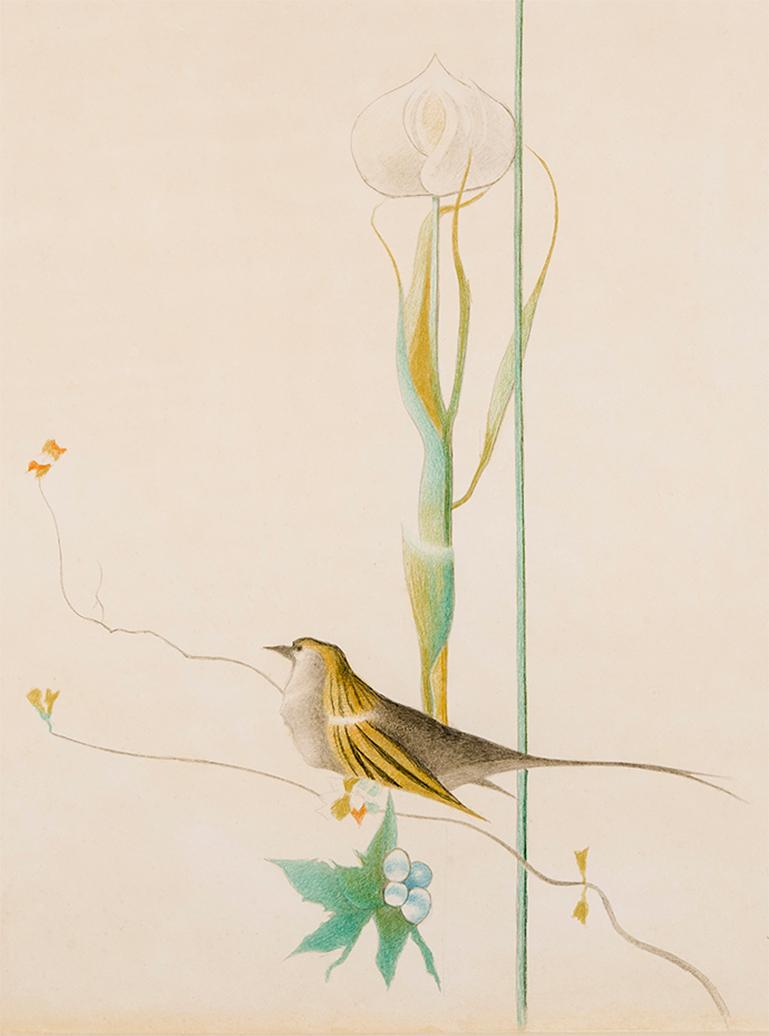 Lilie und Vogel (Beige), Animal Art, von Joseph Stella