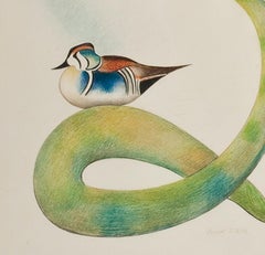 Two Wood Ducks on a Flowering Branch