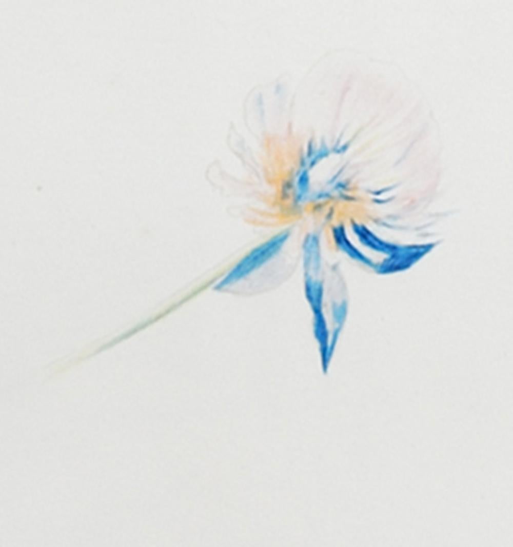 Drei Blumen im Set (Grau), Still-Life, von Joseph Stella