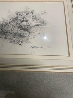 “The Leopard Cub”