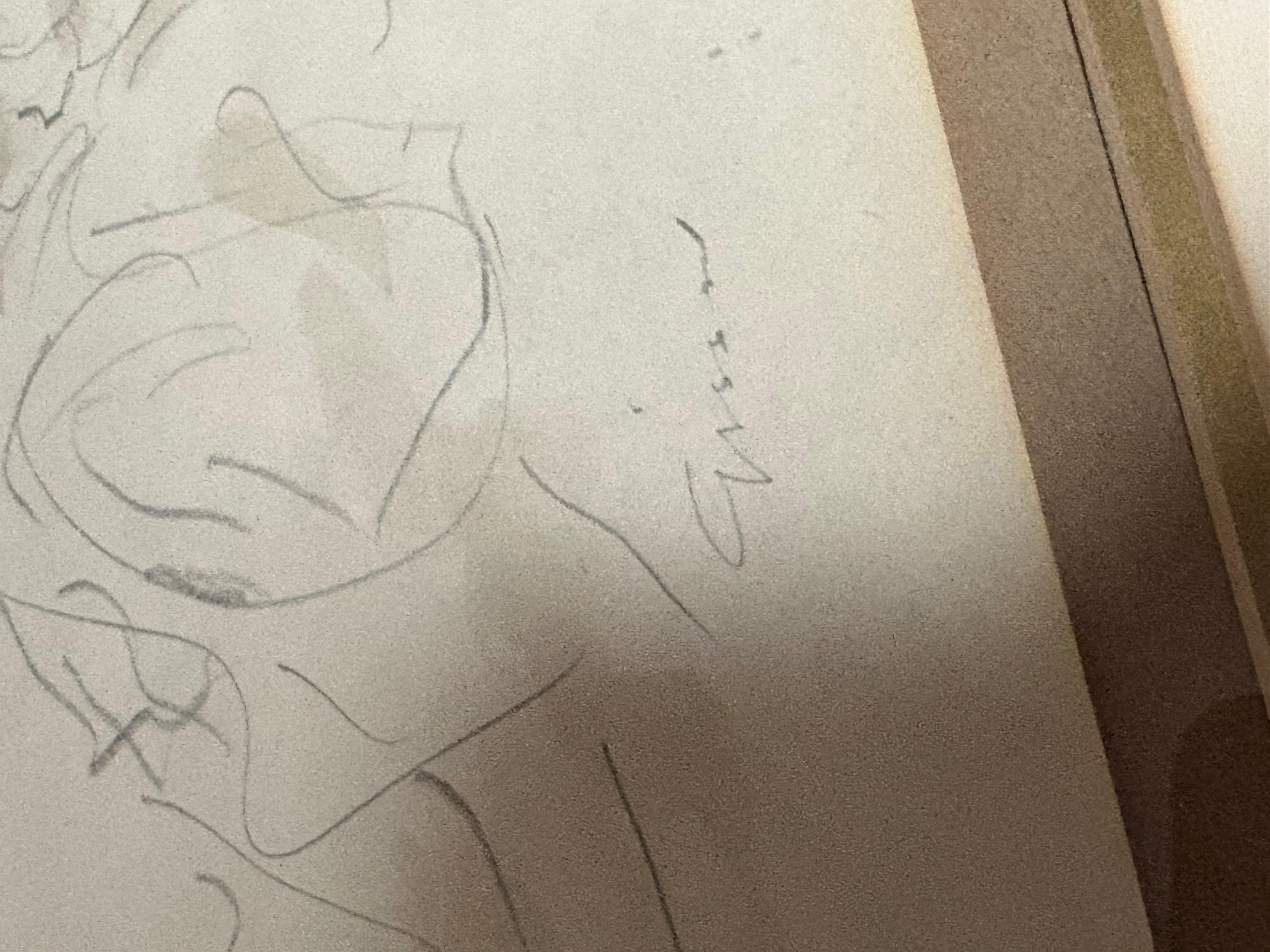 Andre Originals disegno originale a matita signora In buone condizioni. Misura 18x16.