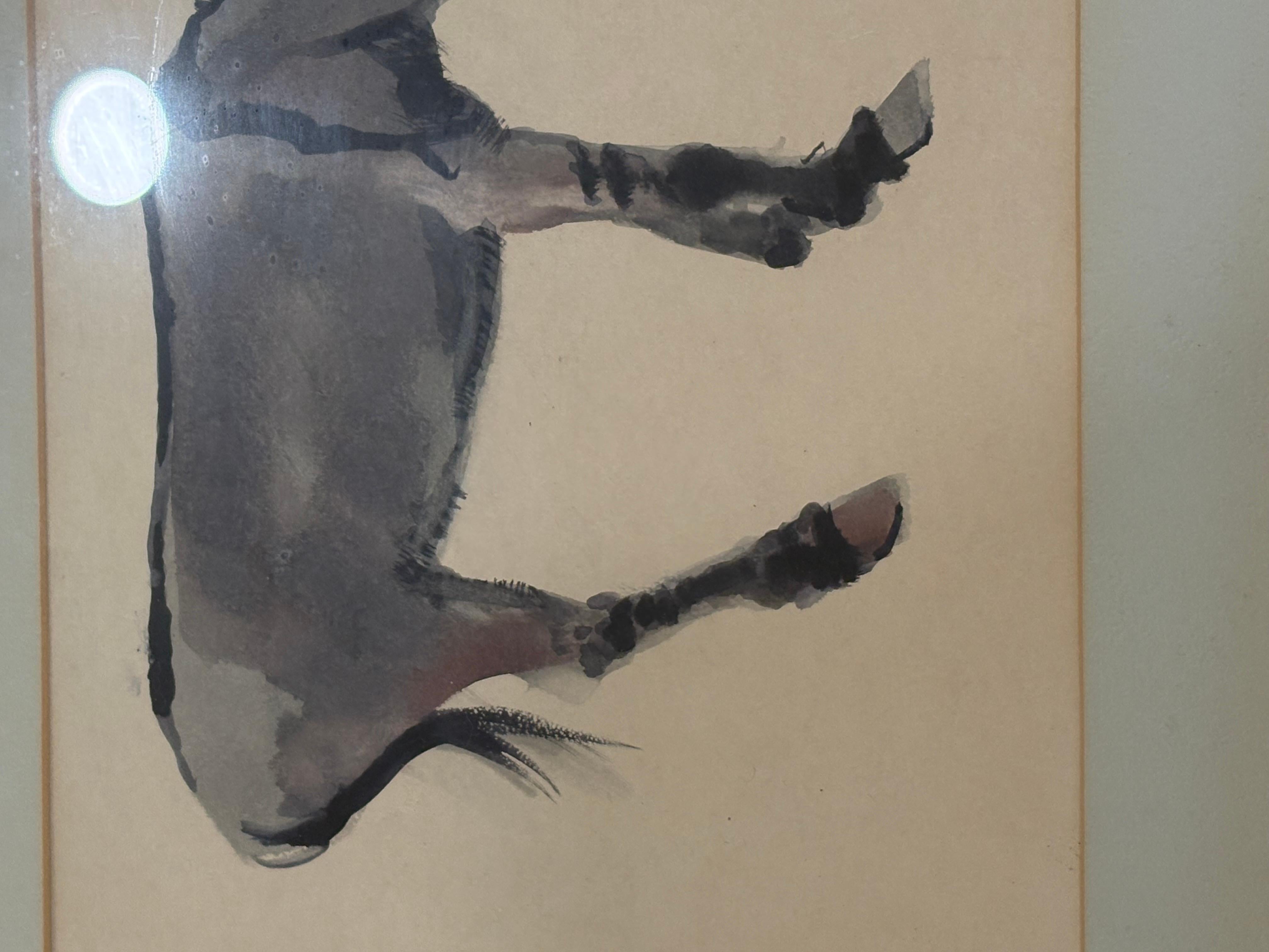 “Donkey” For Sale 2