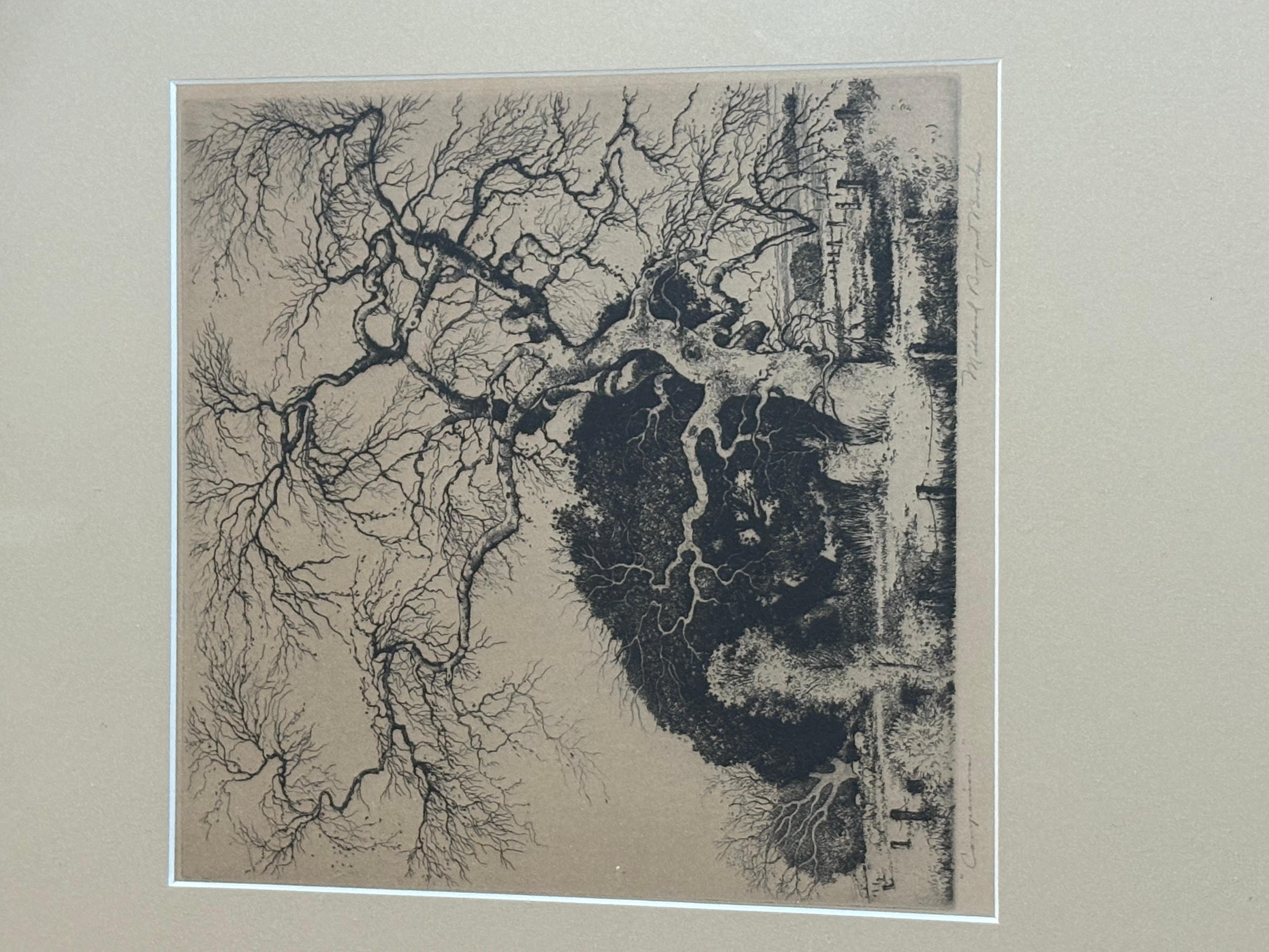 Companion von Mildred Bryant Brooks Signierte Radierung Sehr guter Zustand

Originalrahmen neues Glas zeigt gut bereit zu hängen. Maße 14x19