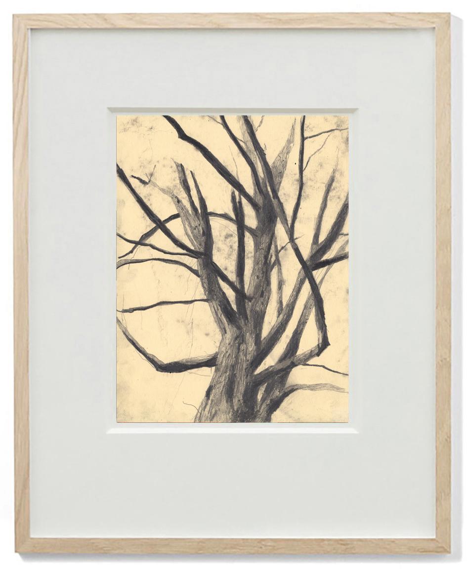 Sweet Tree 1 - Botanical Still Life Drawing by Eva Sozap For Sale 1