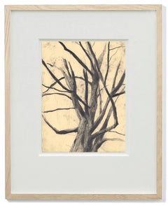 Sweet Tree 1 - Botanical Still Life Drawing by Eva Sozap