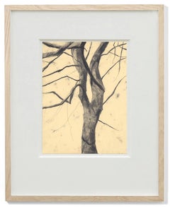 Sweet Tree 2 - Botanical Still Life Drawing by Eva Sozap