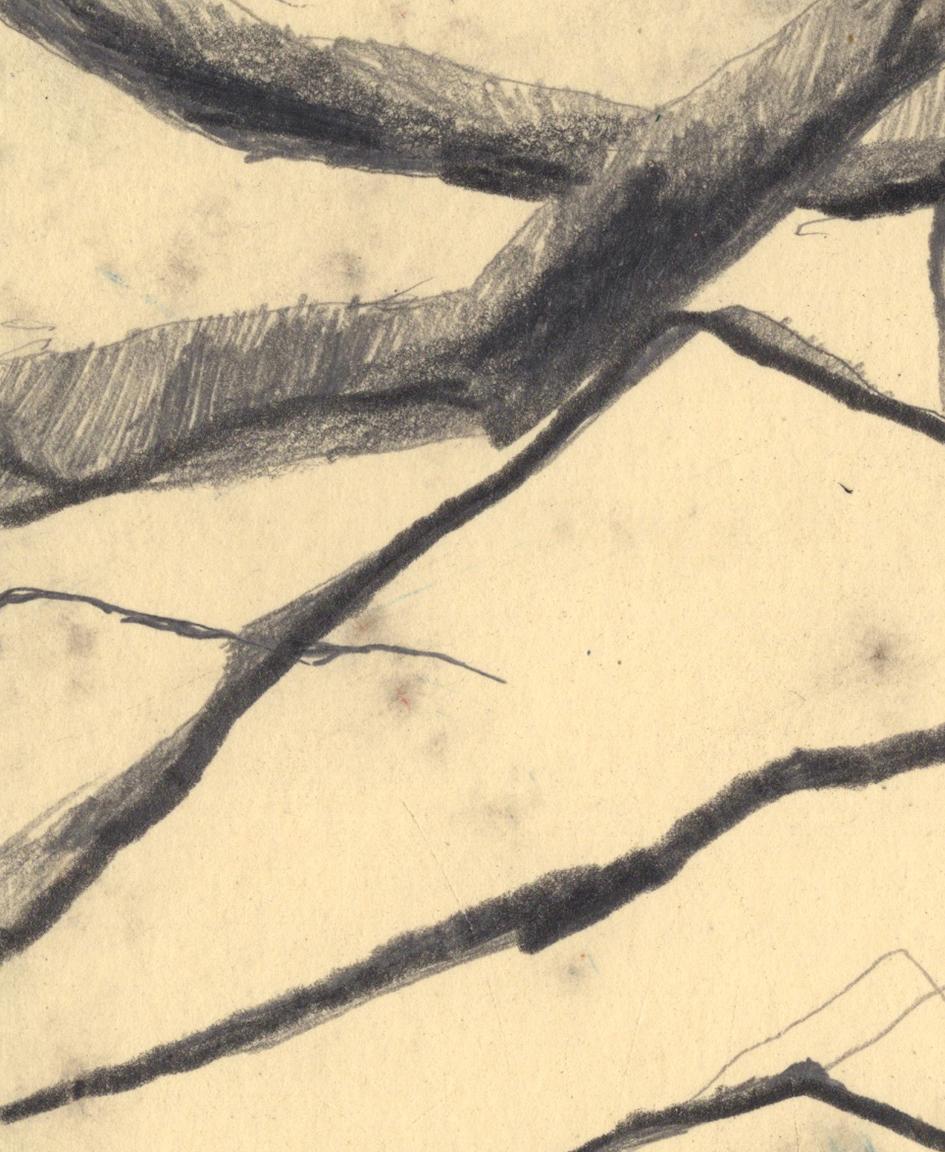 Sweet Tree 2 - Dessin de nature morte botanique d'Eva Sozap en vente 3