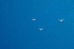 Molecules (Croatia) - landscape color photography