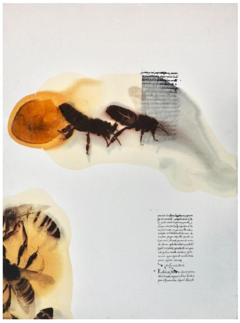 Jose Maria Sicilia Animal Art - Bees Text Sicilia Yellow Black Wax Poetry