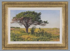 Where Wild Hibiscus Grows, Absecon Island, NJ, Watercolor of Jersey Shore 1894