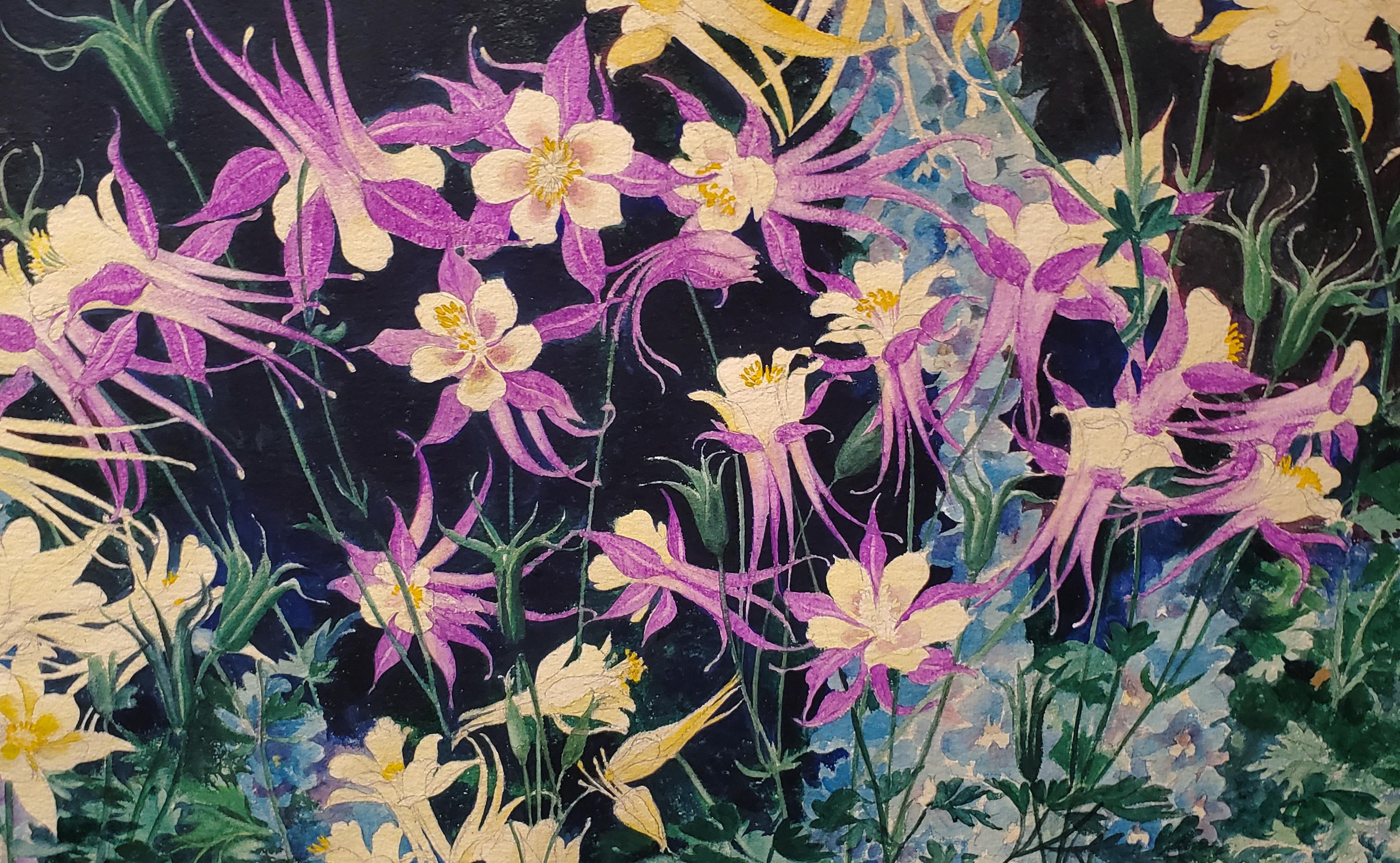 Blumen: Aquilegia und Delphinium – amerikanisches impressionistisches Aquarell auf Papier (Amerikanischer Impressionismus), Art, von John Rutherford Boyd