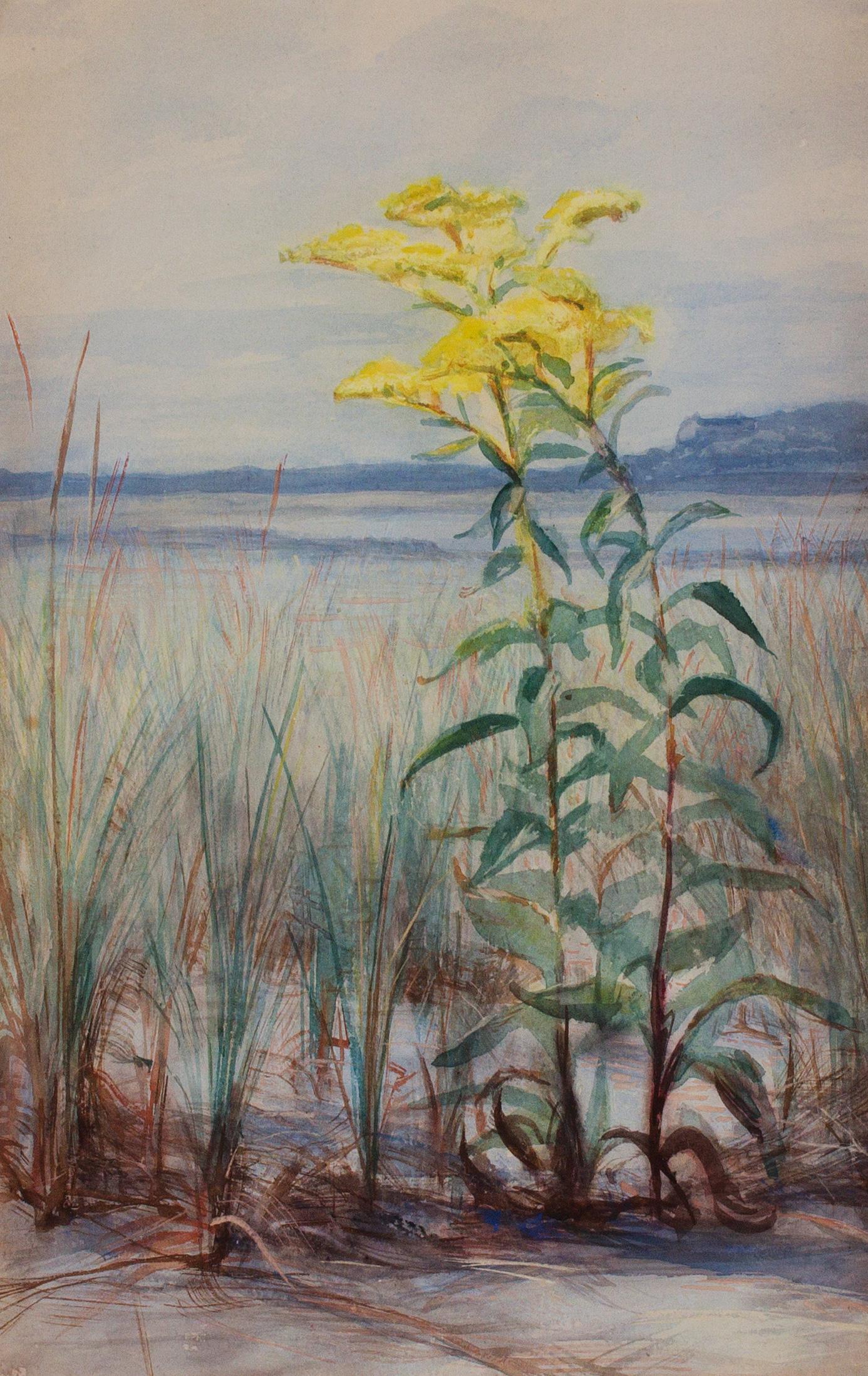 George Cochran Lambdin
(American, 1830–1896)
Goldenrod in the Sand
Watercolor on paper, 19 x 12 inches
Framed: 27 x 20 inches (approx.)

A son of the portraitist James Reid Lambdin, George Cochran Lambdin was born in Pittsburgh and moved to
