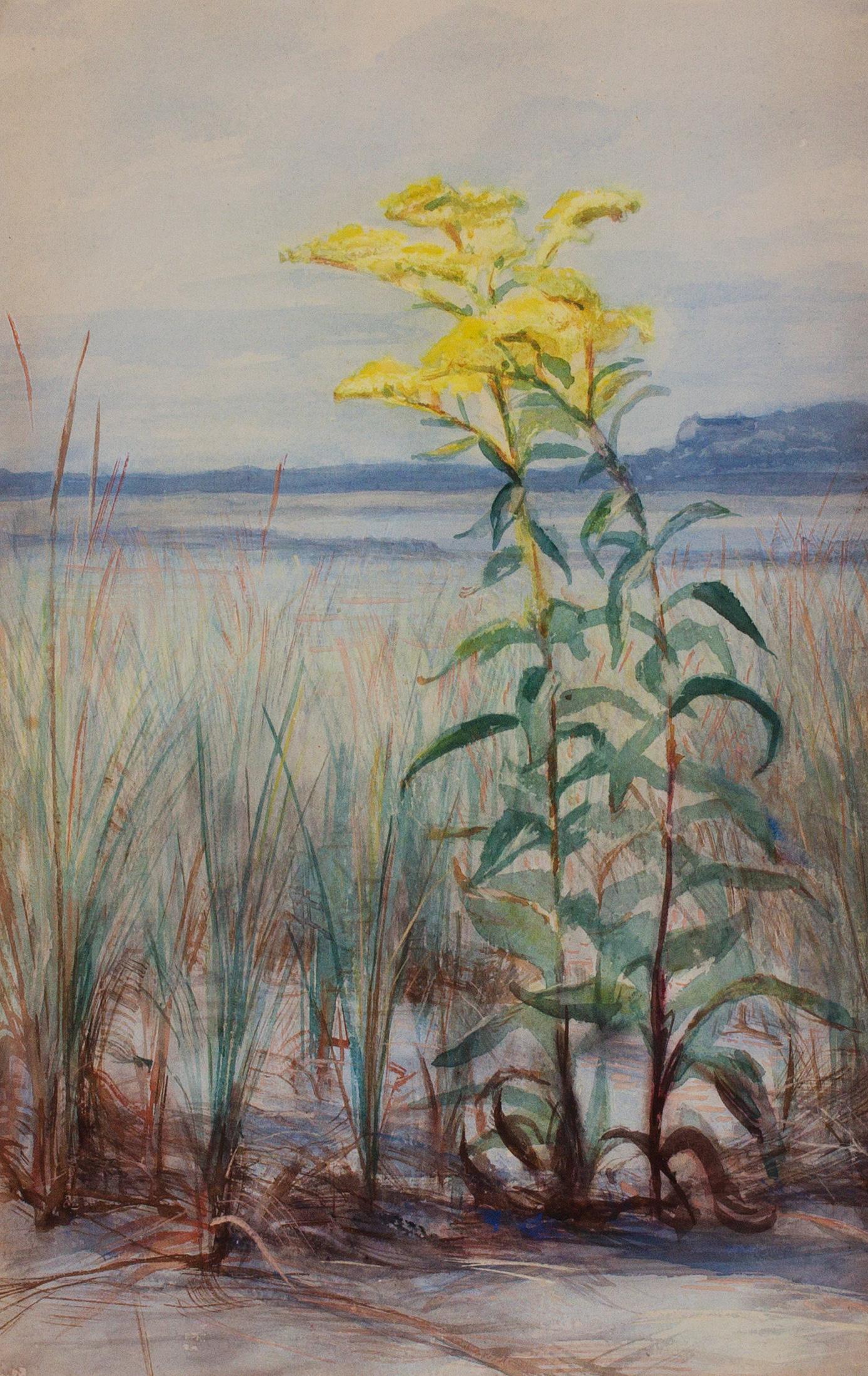 Watercolor: Golden in the Sand by Philadelphia Artist George Lambdin - Brown Still-Life by George Cochran Lambdin