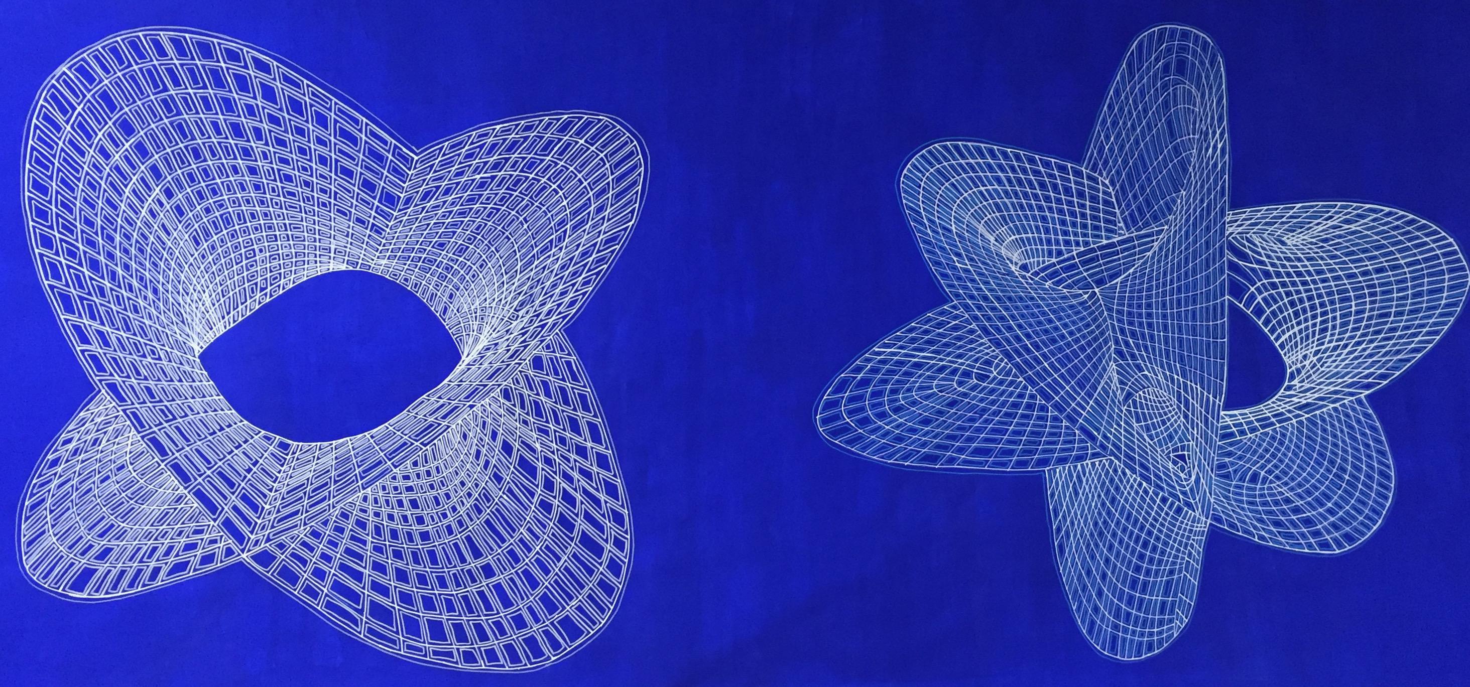 Jody Rasch Abstract Drawing – Abmessungen 4 – Calabi-Yau Manifold