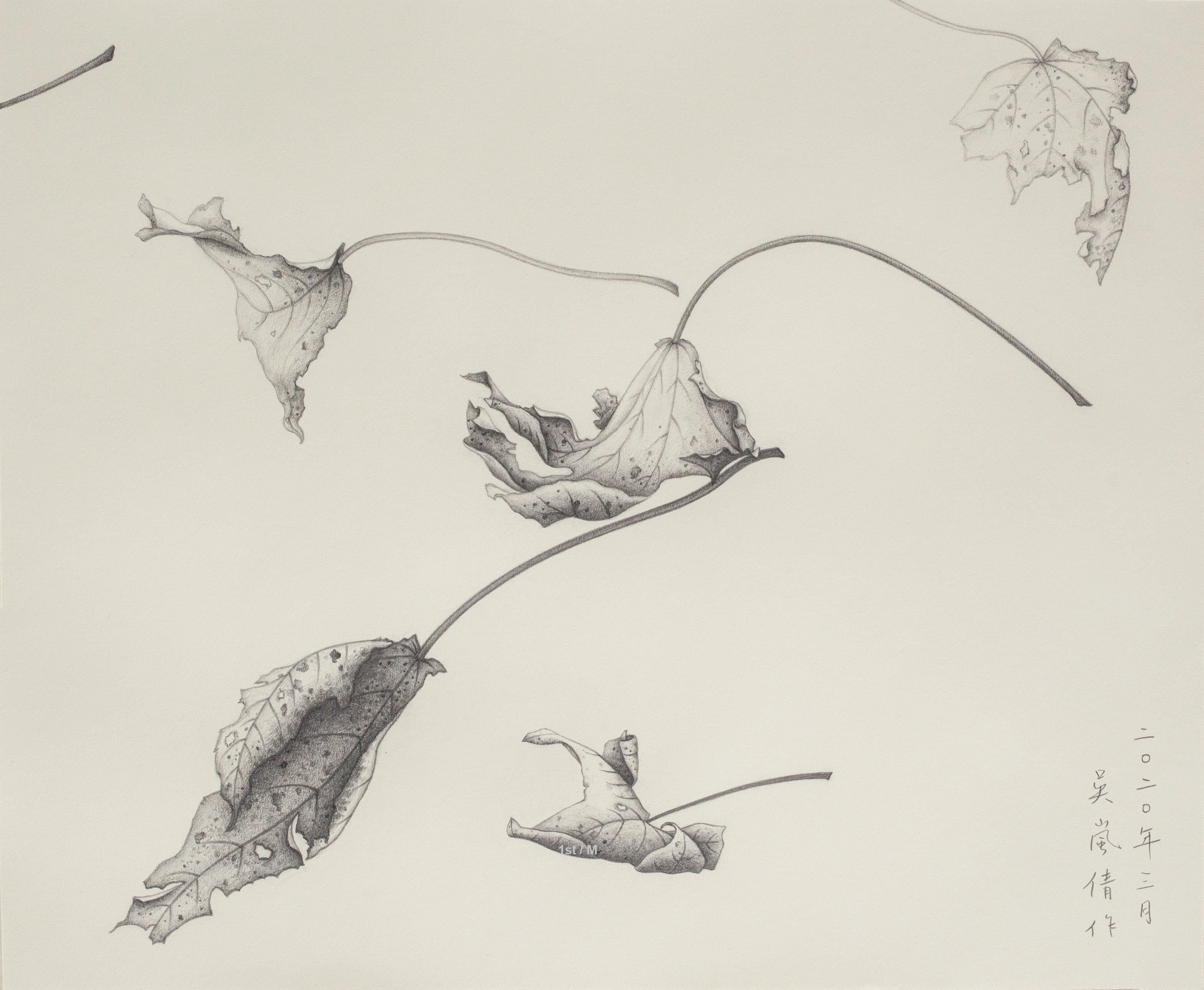 Wu Lan-Chiann Figurative Art - Drawing - Pencil on paper -  Study of Dancing with the Wind II - custom framed