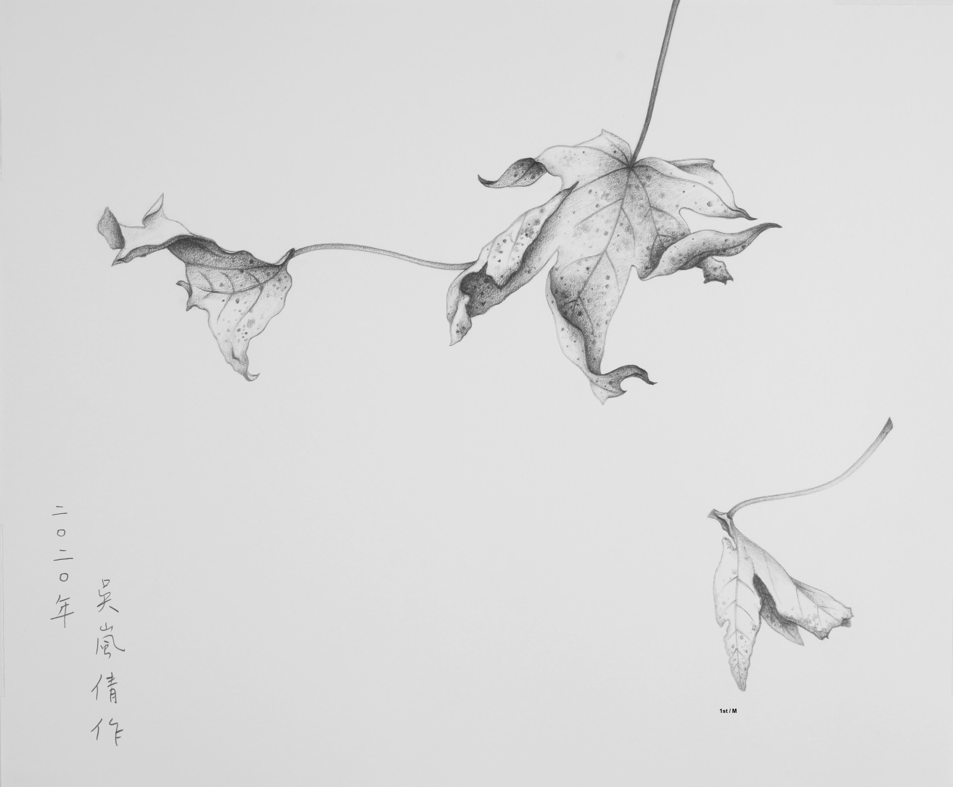 Wu Lan-Chiann Abstract Drawing - Pencil on paper - Study of Dancing with the Wind, 2020 - custom framed