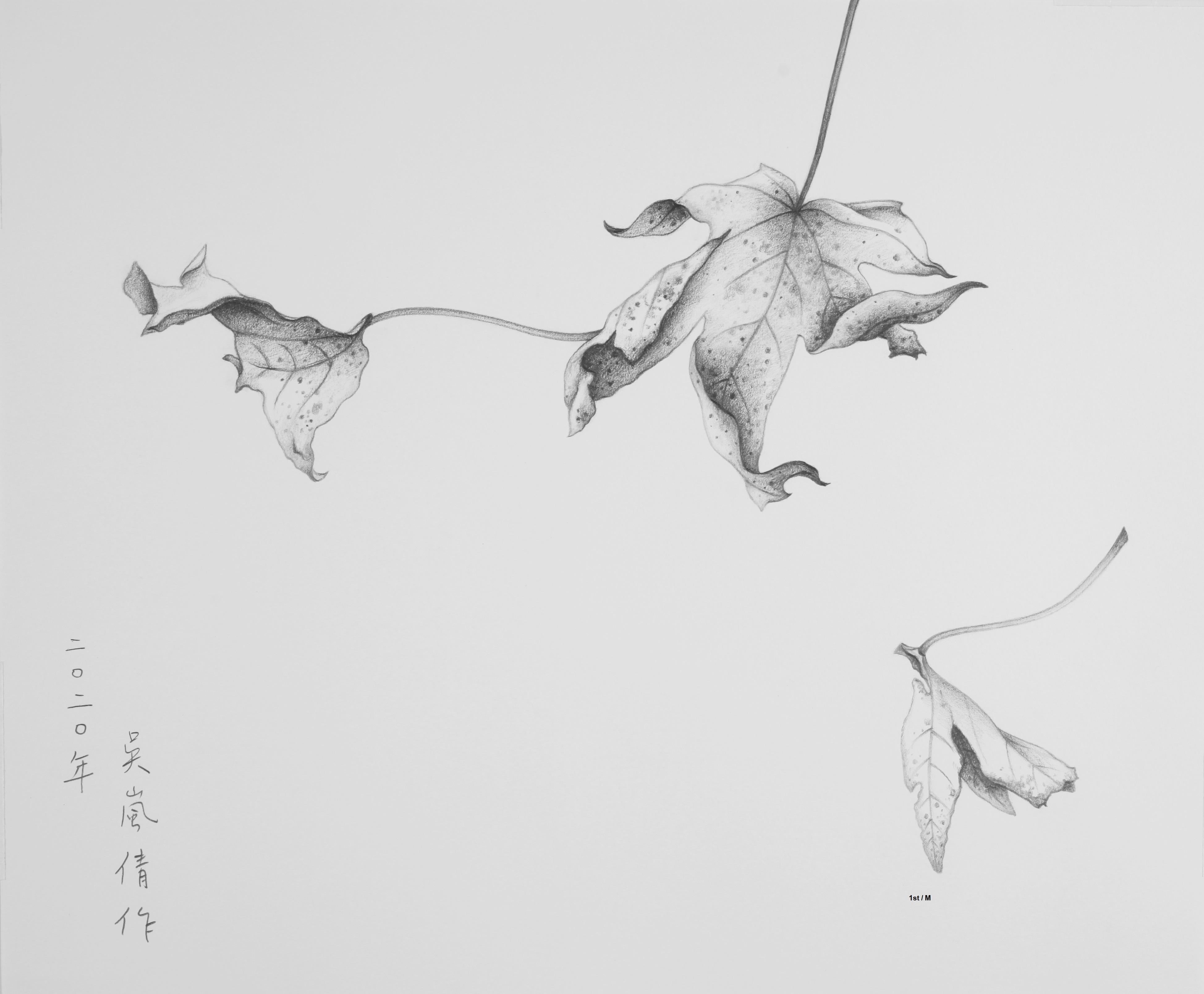 Wu Lan-Chiann Figurative Art - Pencil on paper - Study of Dancing with the Wind, 2020 - custom framed