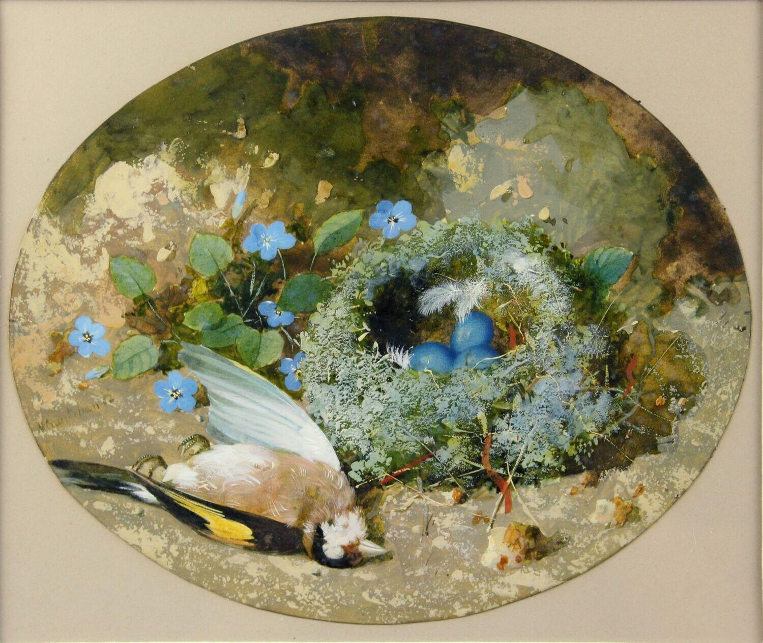 William Cruickshank Animal Art - Still life with dead goldfinch - The mystic blue transcends death -