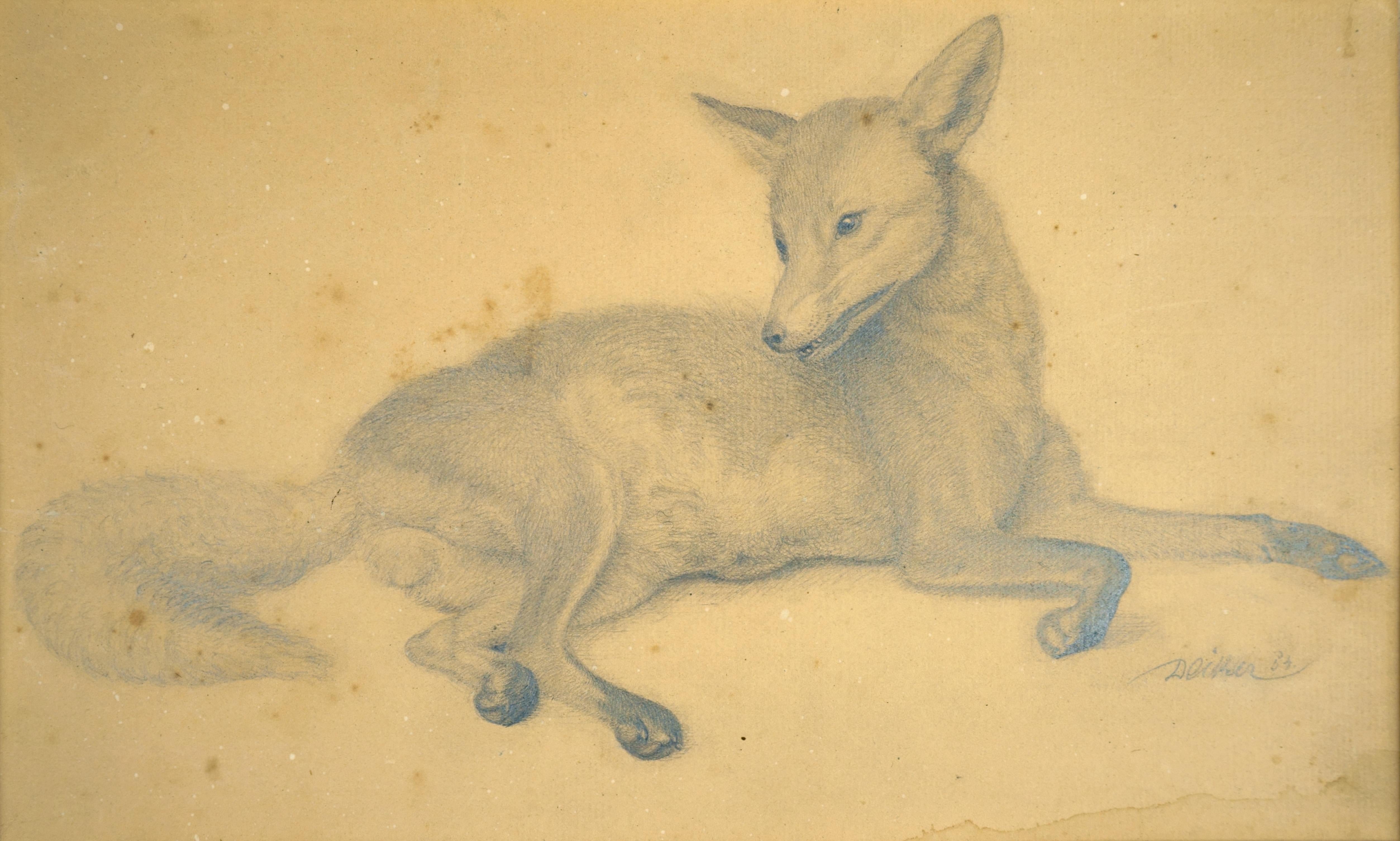 Carl Friedrich Deiker Animal Art - Vigilant Fox - The psyche of the fox -