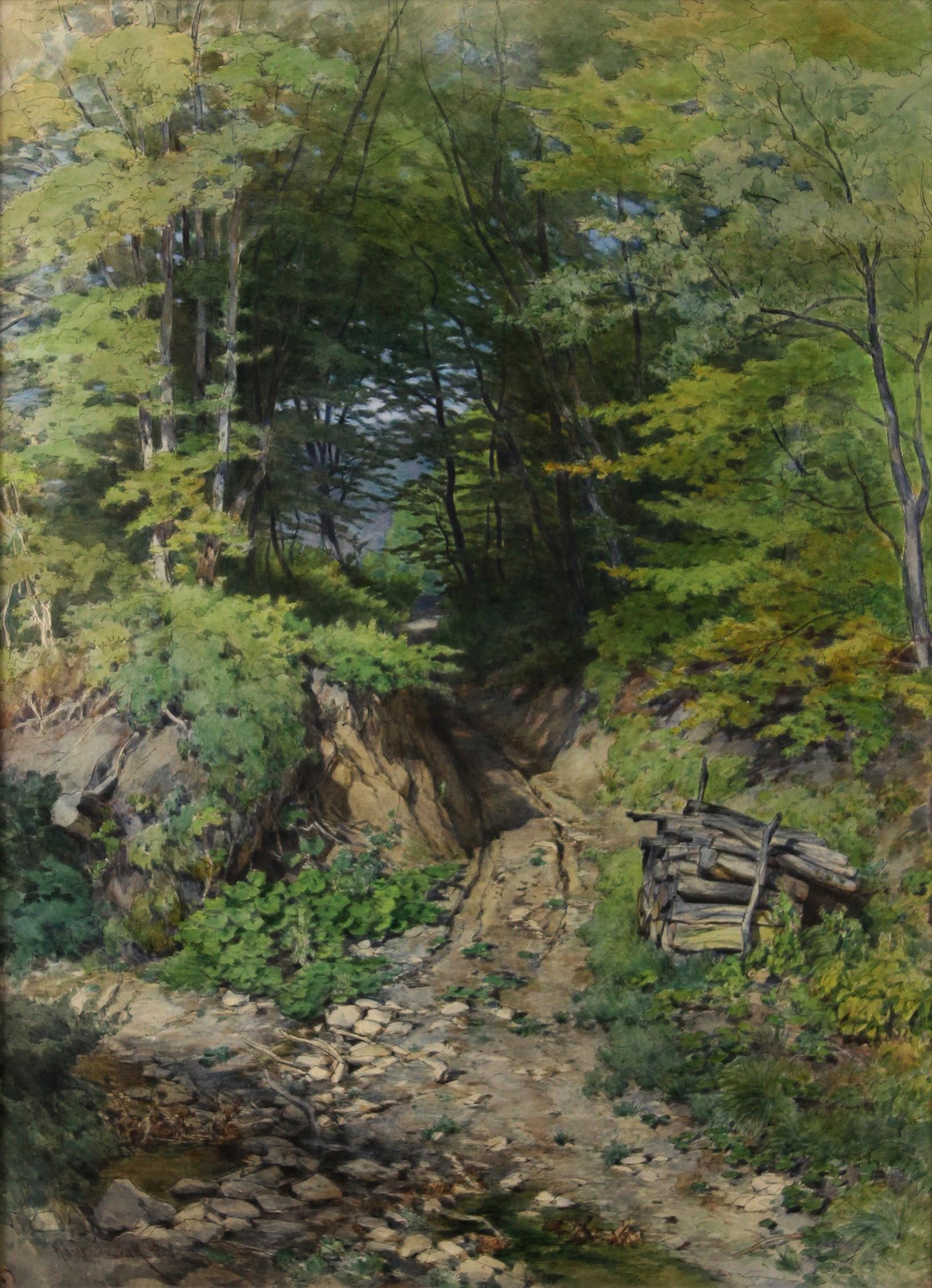 Hans Dvoràk Figurative Art - Shady hollow way - Into the heart of the forest -