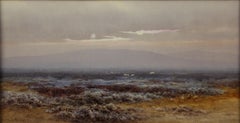 Antique High Moorland Landscape in the fog - The world as a transcendent phenomenon -
