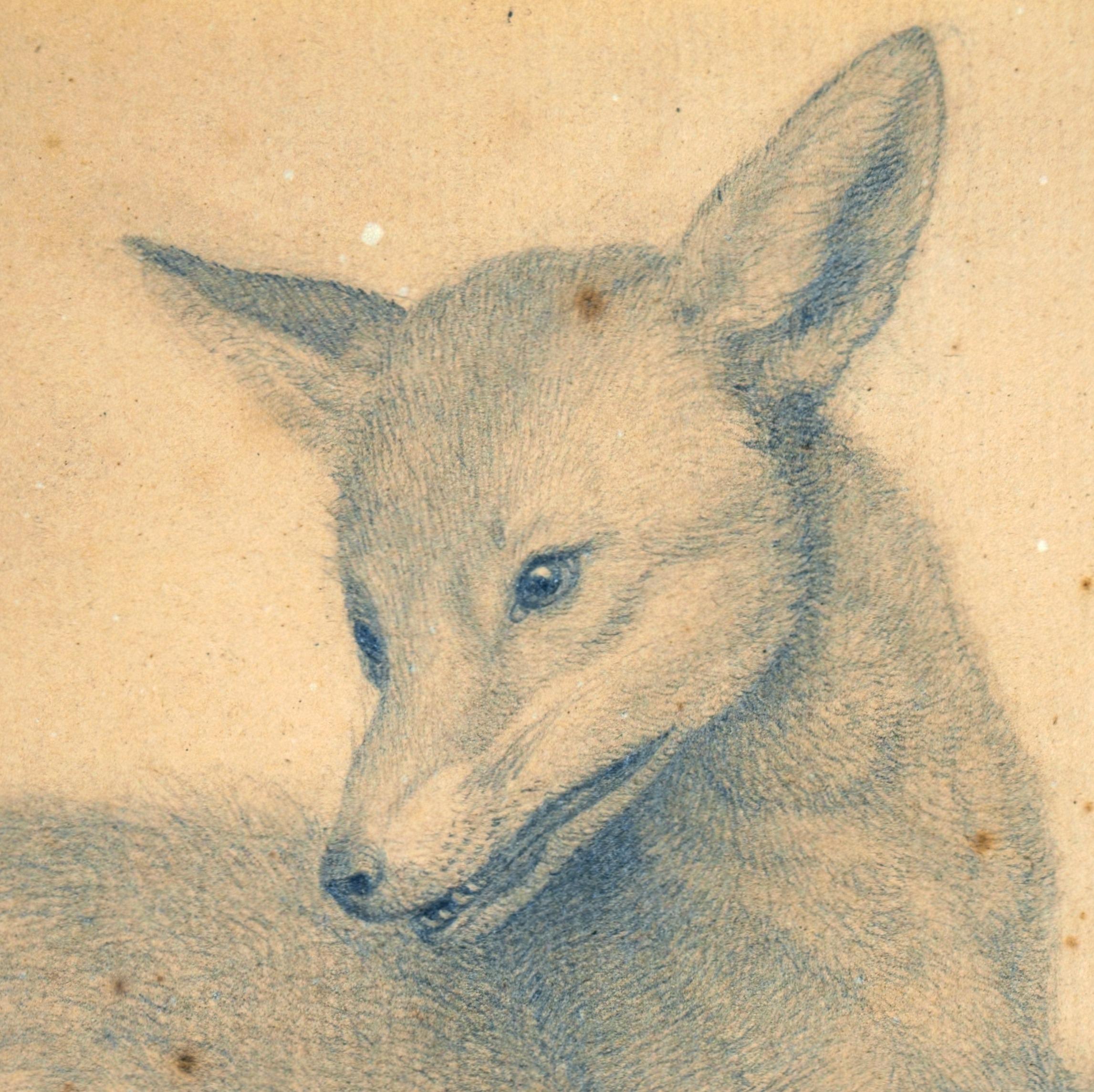 Vigilant Fox - The psyche of the fox - - Art by Carl Friedrich Deiker