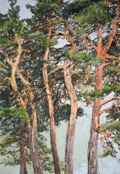 Norwegian Pine Grove - The inner glow of the trees -
