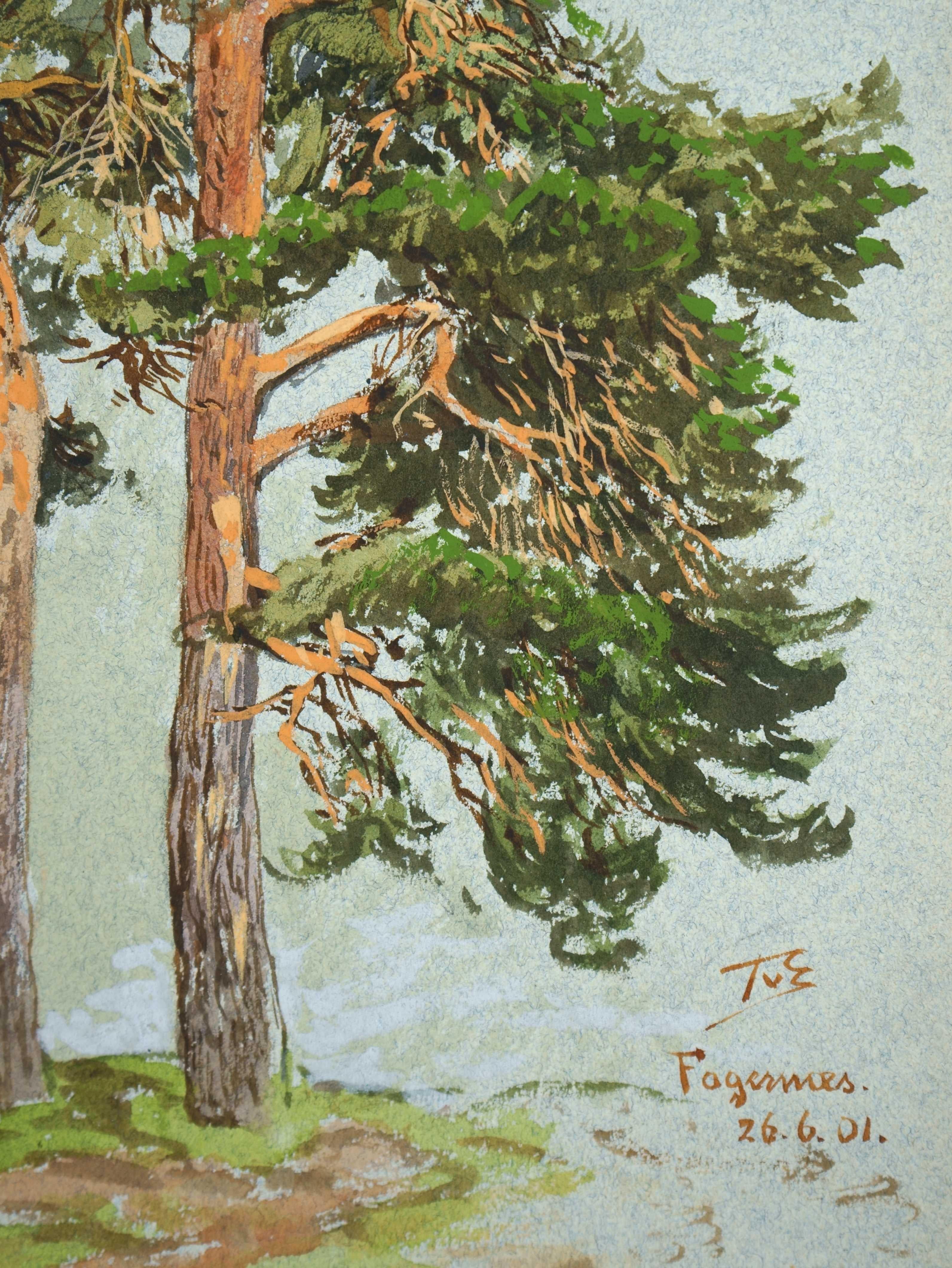 Norwegisches Kiefernholzbaumholz – Der innere Glanz der Bäume – (Naturalismus), Art, von Themistokles von Eckenbrecher