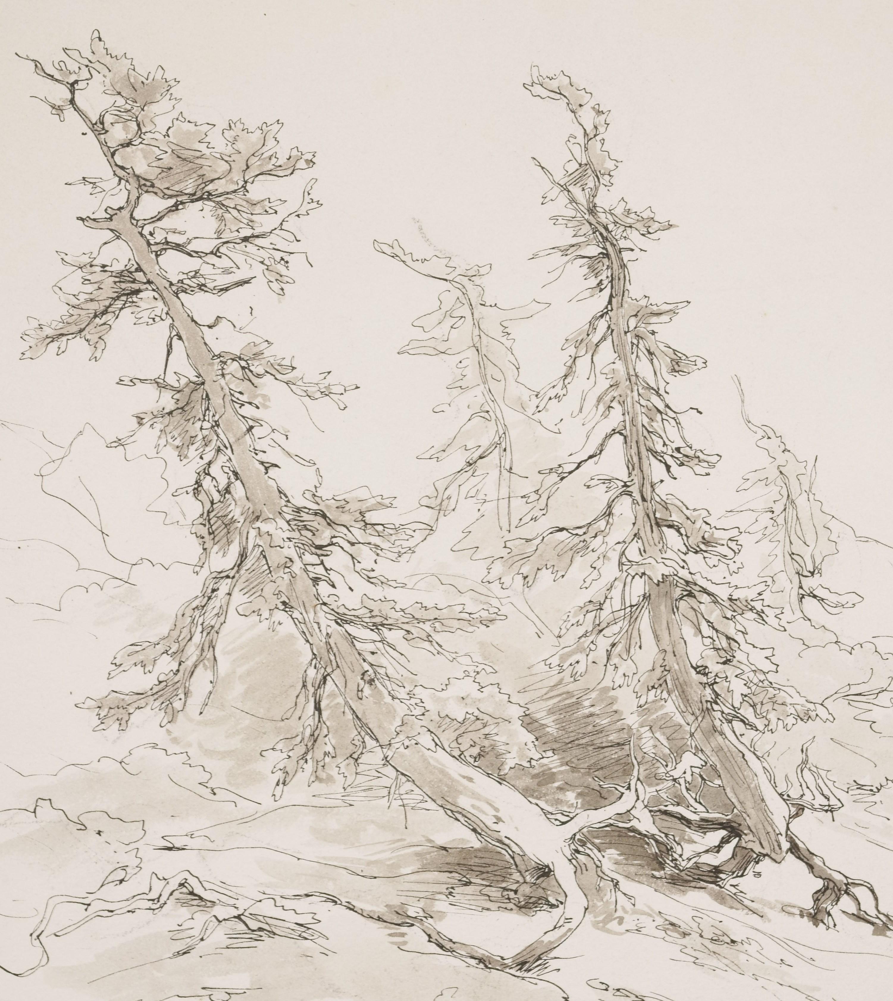 Bosque / - El drama interior del paisaje - - Art de Eduard Peithner von Lichtenfels