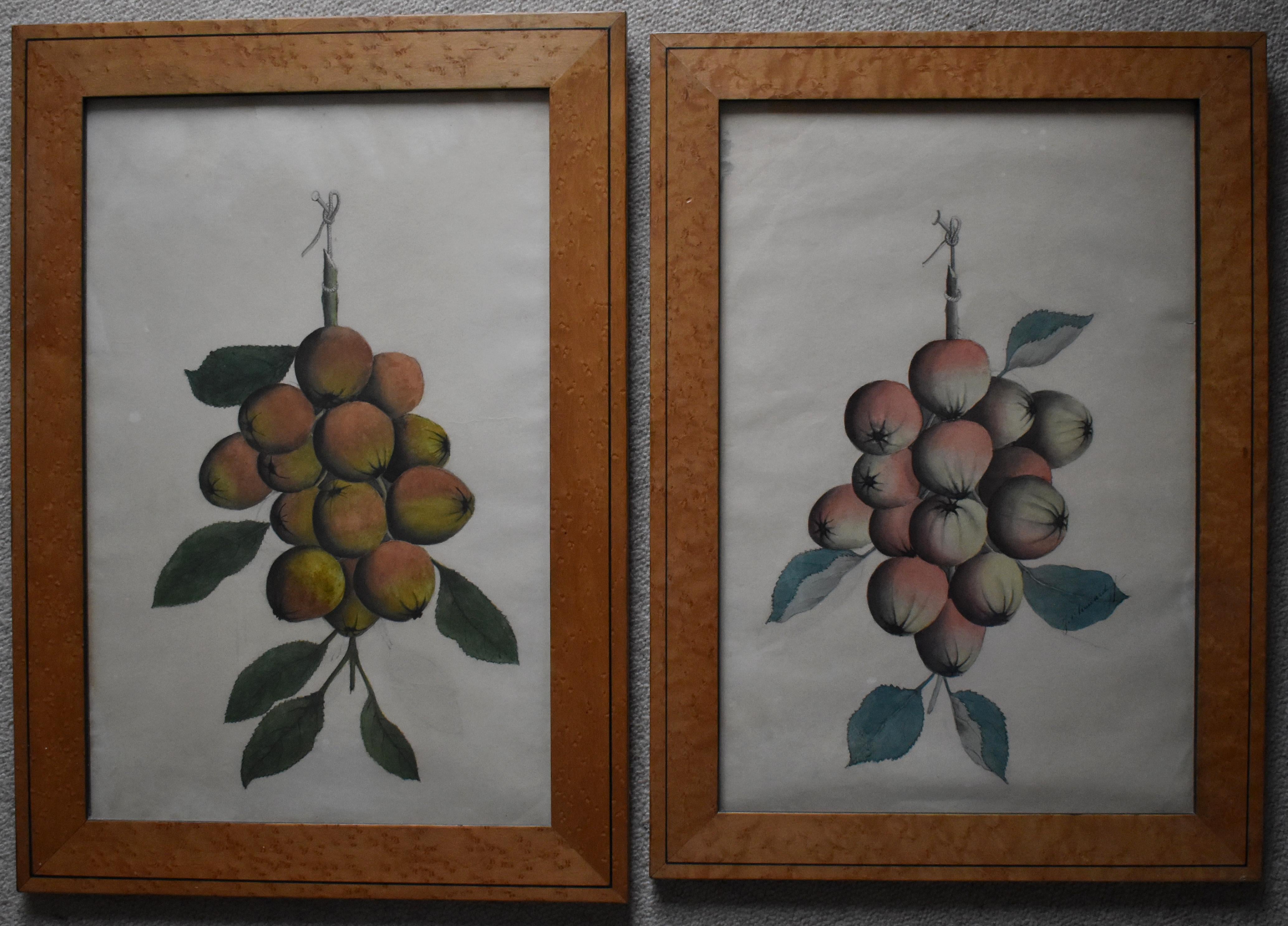 French School Swags of Apples a Pair of Watercolour Paintings c1890