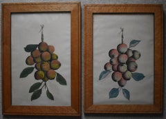 French School Swags of Apples a Pair of Watercolour Paintings c1890