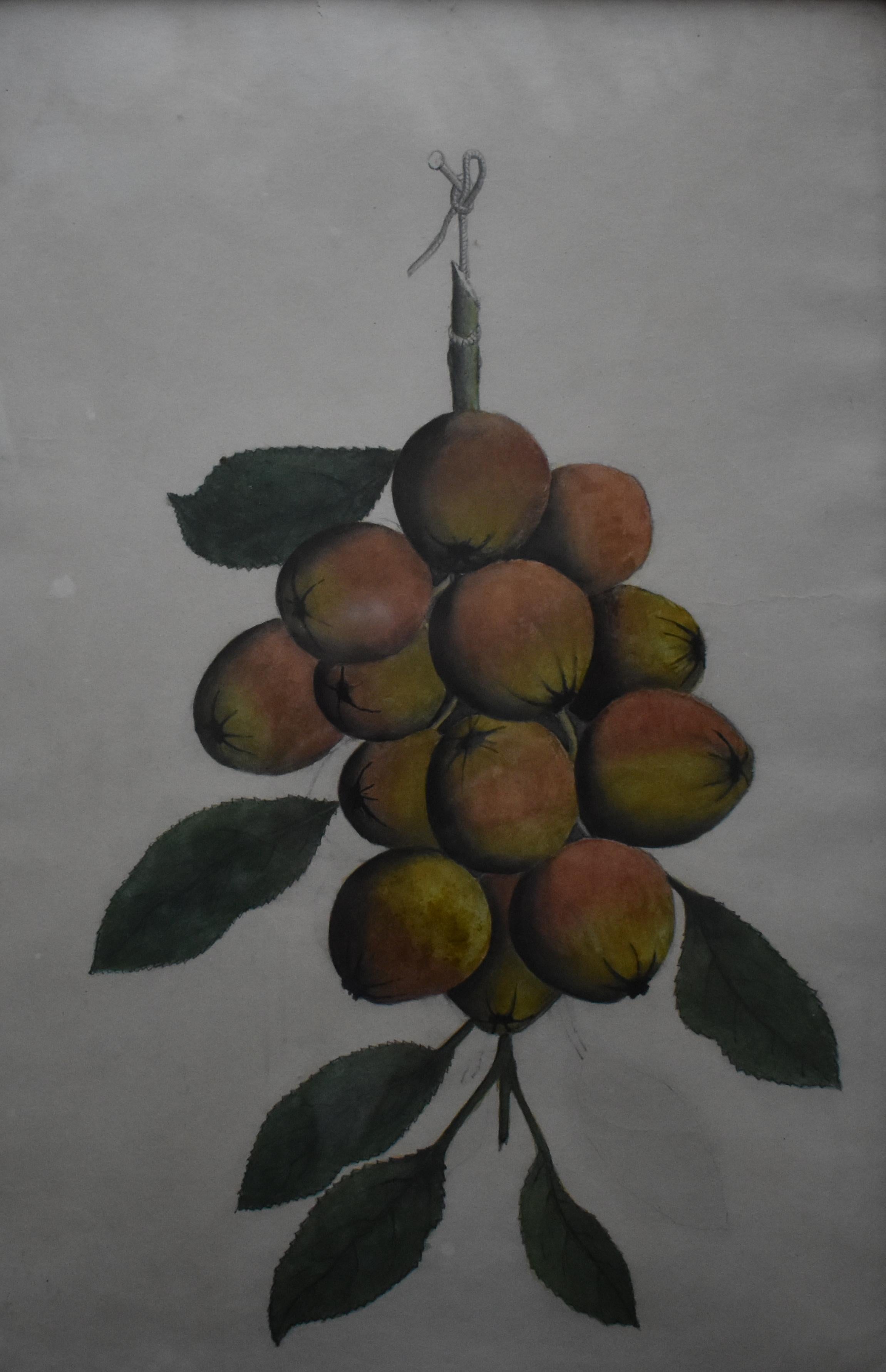 French School Swags of Apples a Pair of Watercolour Paintings c1890 - Art by Martin Jules CHOUARD 