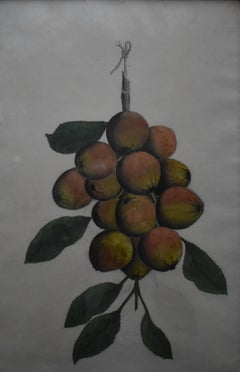 French School Swags of Apples a Pair of Watercolour Paintings c1890
